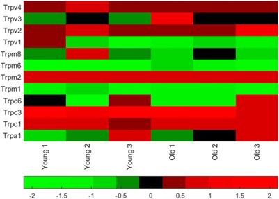 Temperature modulates PVN pre-sympathetic neurones via transient receptor potential ion channels